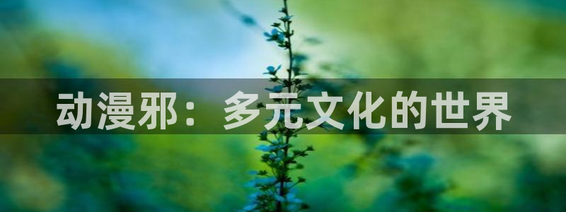 囧次元下载最新版本：动漫邪：多元文化的世界