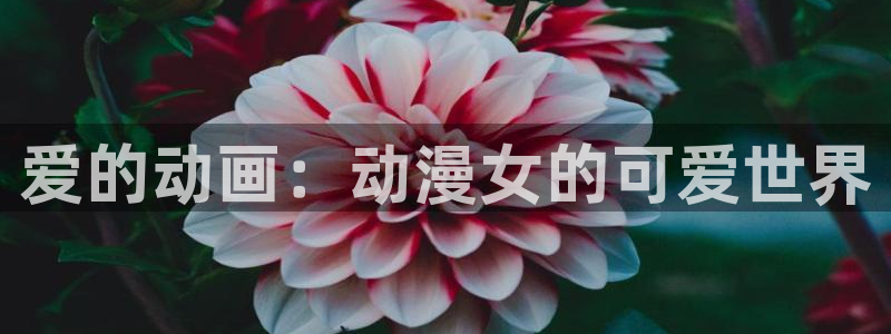 囧次元app官方版下载：爱的动画：动漫女的可爱世界