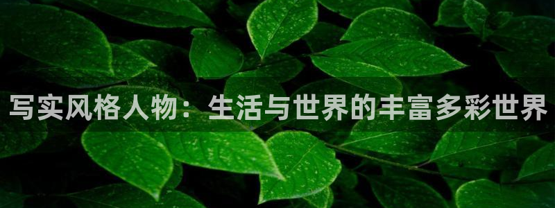 正版囧次元：写实风格人物：生活与世界的丰富多彩世界