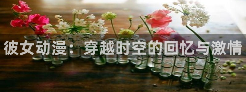 囧次元在线观看入口：彼女动漫：穿越时空的回忆与激情
