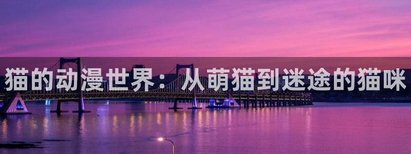 囧次元正版官方下载：猫的动漫世界：从萌猫到迷途的猫咪