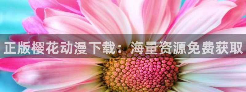 囧次元官方正版app下载：正版樱花动漫下载：海量资源免费获取