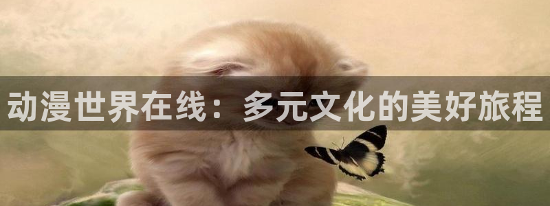 囧次元最新版下载：动漫世界在线：多元文化的美好旅程