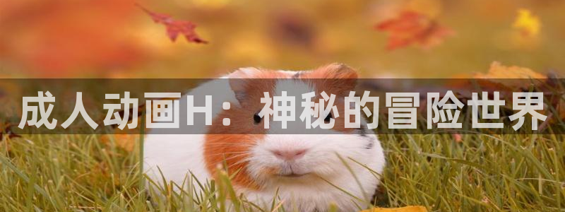 囧次元app正版下载免费：成人动画H：神秘的冒险世界